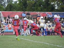 Enlarge photo 553