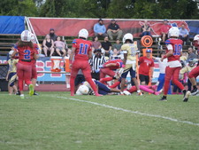 Enlarge photo 557