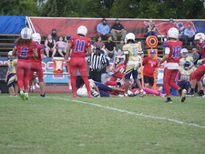 Enlarge photo 558