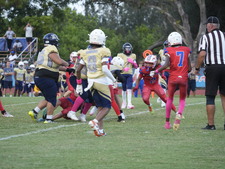 Enlarge photo 587