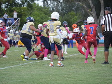 Enlarge photo 588