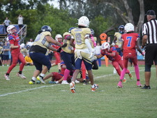 Enlarge photo 589