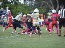 Enlarge photo 590