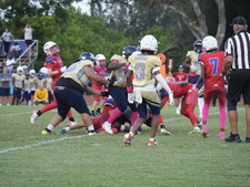 Enlarge photo 592