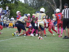 Enlarge photo 591