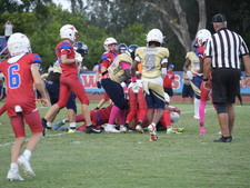 Enlarge photo 593