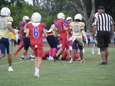 Enlarge photo 598
