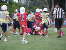 Enlarge photo 599