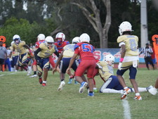 Enlarge photo 669