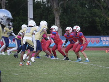 Enlarge photo 705