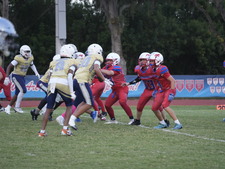 Enlarge photo 706