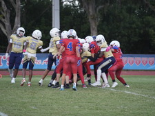 Enlarge photo 713