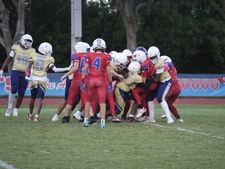 Enlarge photo 715