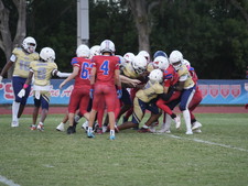 Enlarge photo 717