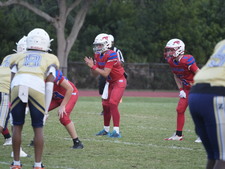 Enlarge photo 751