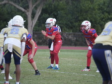 Enlarge photo 754
