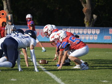 Enlarge photo 41