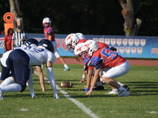 Enlarge photo 43