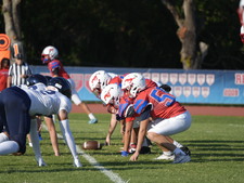 Enlarge photo 45
