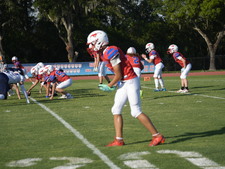 Enlarge photo 49