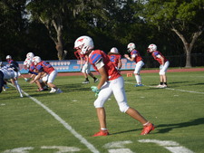 Enlarge photo 51