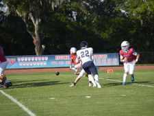 Enlarge photo 54