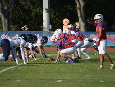 Enlarge photo 62