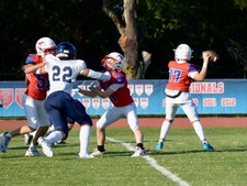 Enlarge photo 63