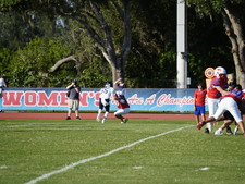 Enlarge photo 73