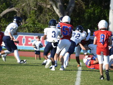 Enlarge photo 105