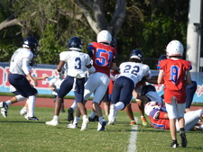 Enlarge photo 106