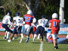 Enlarge photo 107