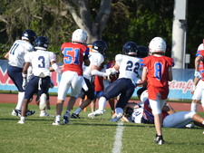 Enlarge photo 108