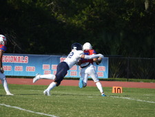Enlarge photo 113