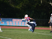 Enlarge photo 116