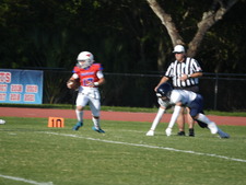 Enlarge photo 124
