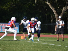 Enlarge photo 126