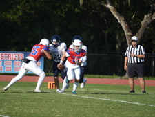 Enlarge photo 127