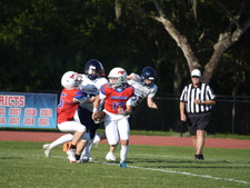 Enlarge photo 132