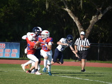 Enlarge photo 133
