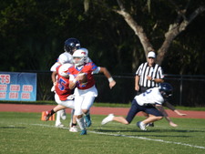 Enlarge photo 135