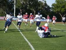 Enlarge photo 145