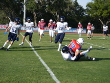 Enlarge photo 146
