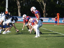 Enlarge photo 153