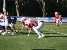 Enlarge photo 163
