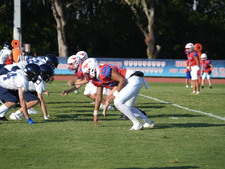 Enlarge photo 167