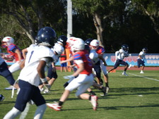 Enlarge photo 177