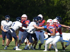 Enlarge photo 202