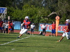 Enlarge photo 219