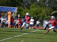 Enlarge photo 221